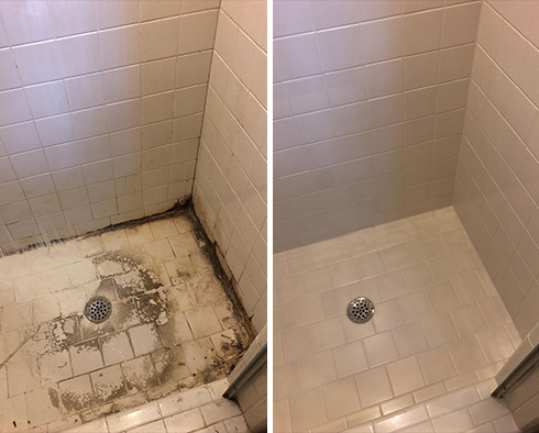 Shower Restored by Our Tile and Grout Cleaners in Henderson, NV