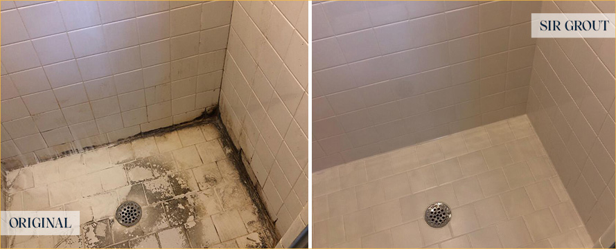 Shower Restored by Our Expert Tile and Grout Cleaners in Henderson, NV